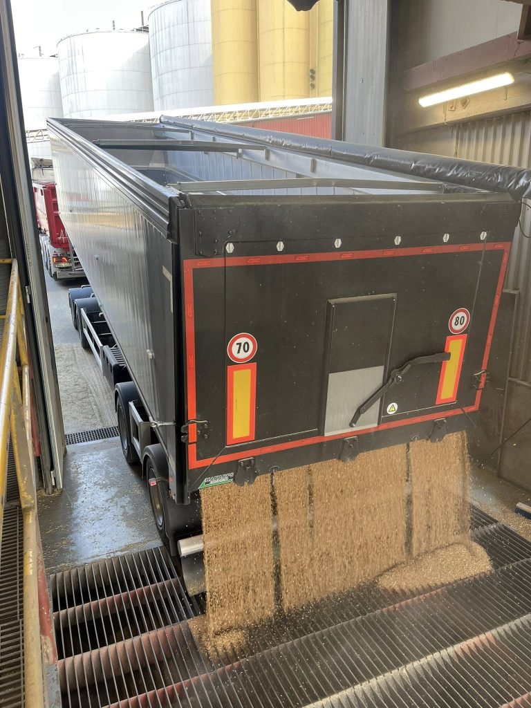 531372634_1179296640903347_9120349834857915559_n